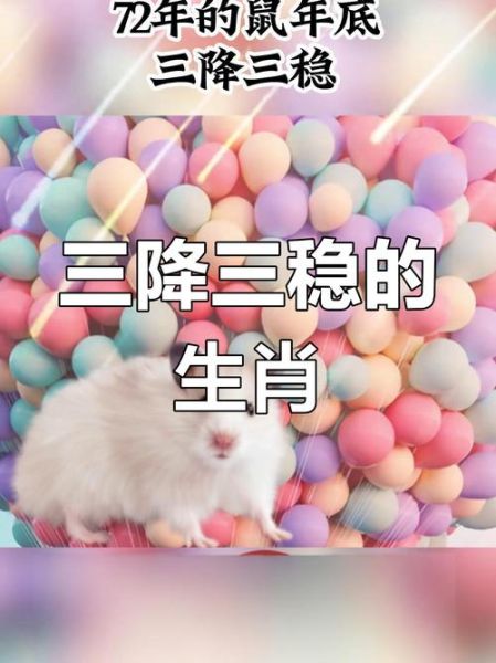 1972属鼠人2024全年运势如何_72年属鼠今年财运怎么样