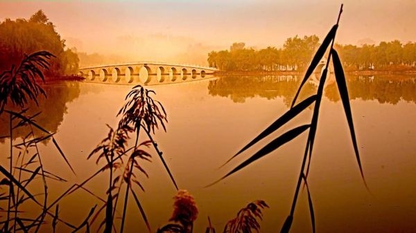 梦到大桥塌了_是什么预兆