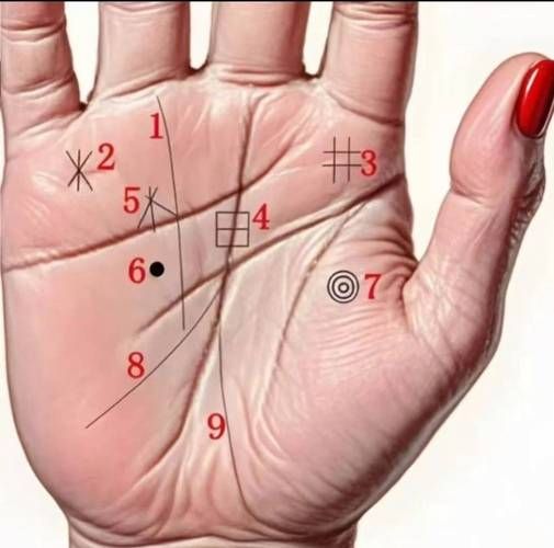 看相财运看哪里_面相手相哪个部位最准