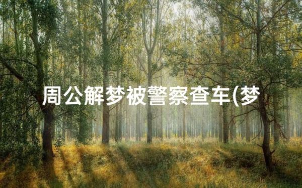 梦到交警查车是什么意思_梦见被交警拦下怎么办