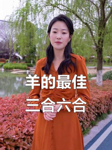 猪羊配财运好吗_猪羊属相合财秘诀