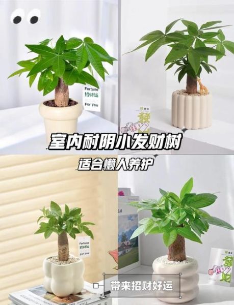 走小财运是什么意思_如何提升走小财运