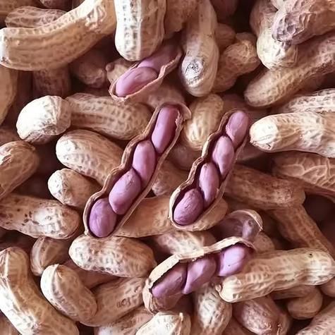 梦到鲜花生是什么意思_梦见鲜花生好不好