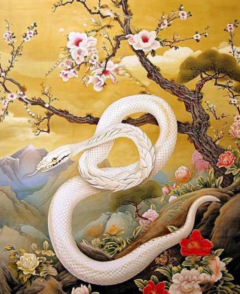 2017年6月属蛇运势如何_属蛇人六月财运旺不旺