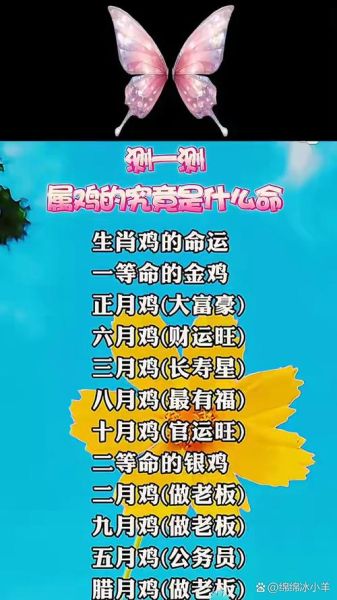 属鸡和什么属相合财_属鸡跟谁最旺财