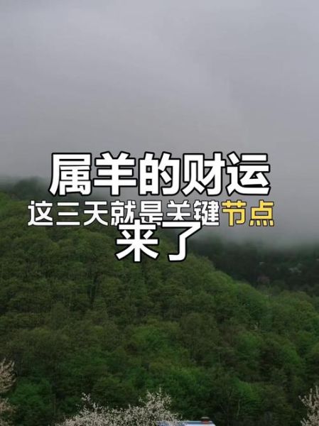 羊年今年财运如何_属羊人2024年财富走势