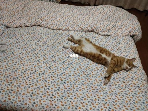 睡觉横着睡会影响财运吗_横着睡的风水禁忌