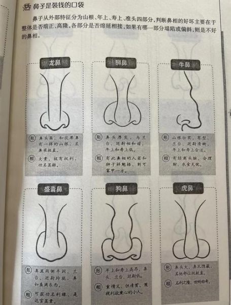 鼻子真的能代表财运吗_鼻子看财运的方法