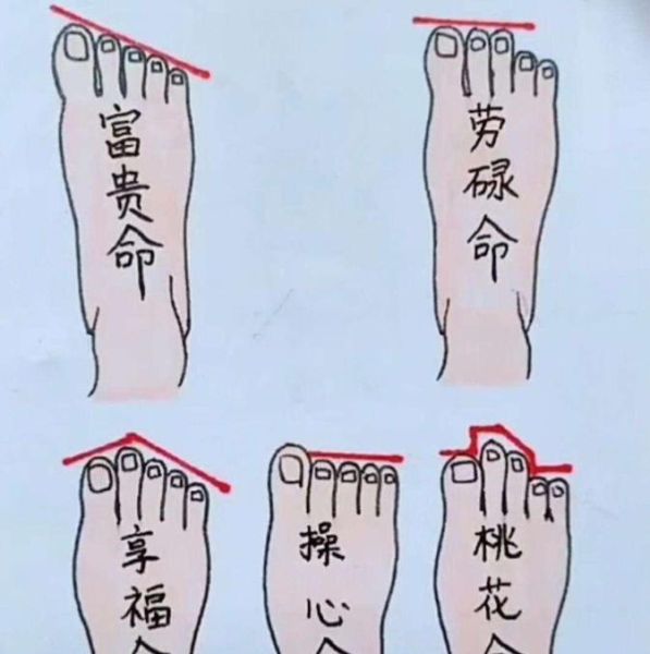 脚相与财运_脚型真的影响财富吗