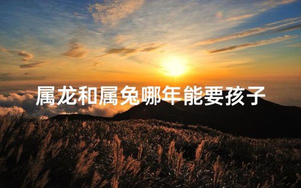 龙兔生什么属相的宝宝好_龙兔夫妻最佳生育年份