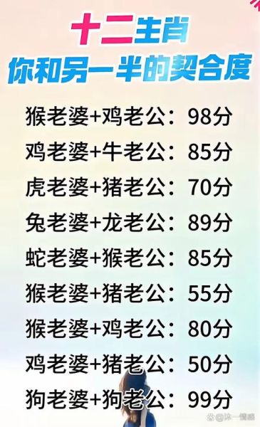 狗鼠属相结婚好吗_狗鼠婚配注意事项