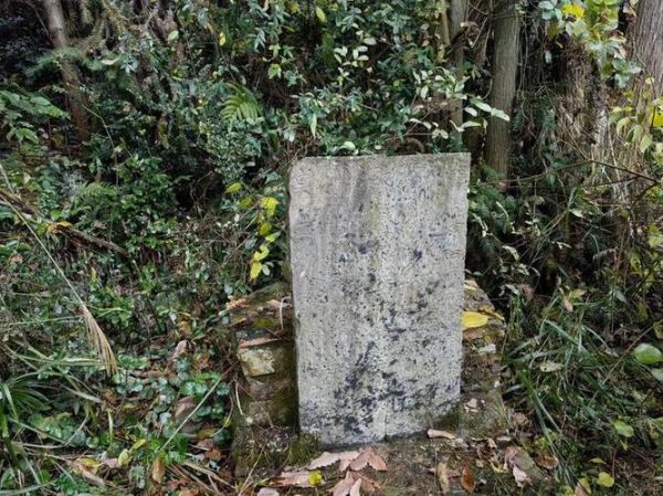 梦到空坟墓是什么意思_梦见空坟墓预示什么