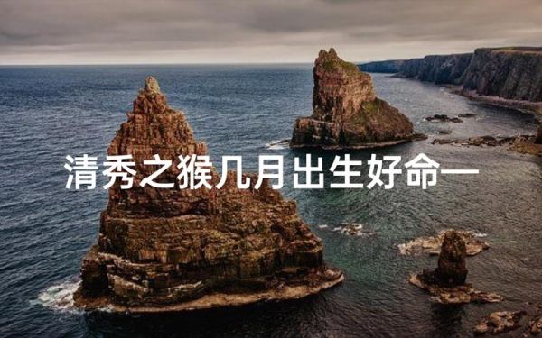 清秀之猴一生运势_晚年如何转运