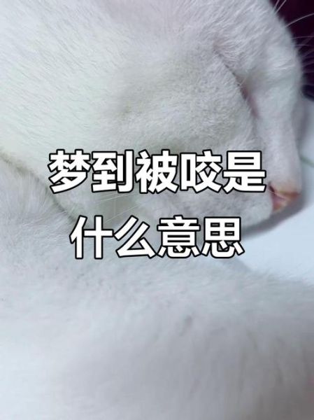 梦到咬孩子_意味着什么