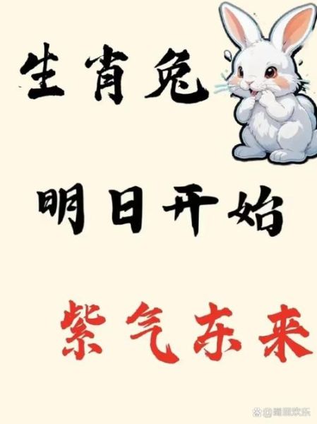 肖兔2018年运势_肖兔2018年财运如何