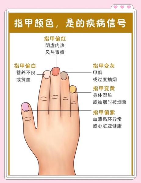 梦见指甲变长是什么意思_指甲变长梦境解析