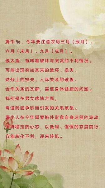 属龙2024年运势如何_属龙人犯太岁怎么化解