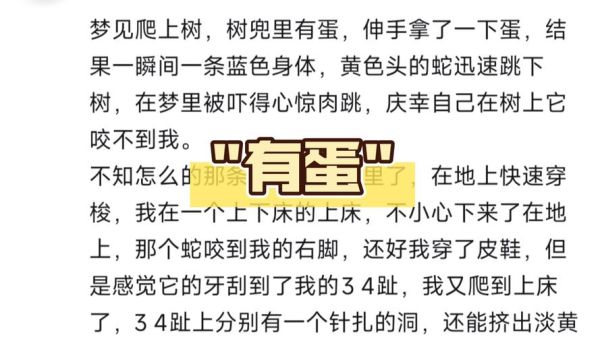 梦到很多鸡蛋是什么意思_梦到鸡蛋预示什么