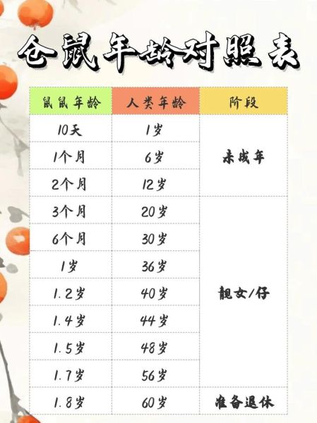 属鼠今年多大岁数_属鼠2024年虚岁对照表