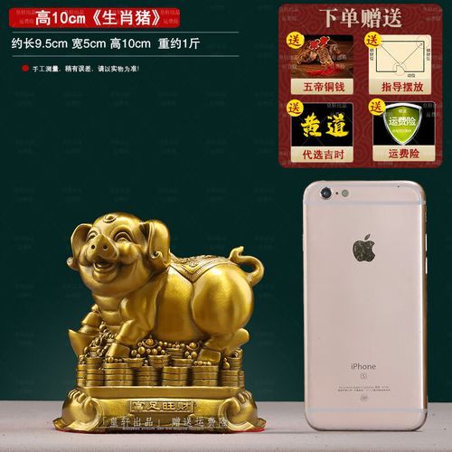 2019年每月属相运势_属猪本命年如何化解