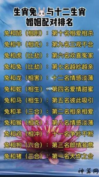 虎和兔的属相合不合_婚姻事业财运全解析