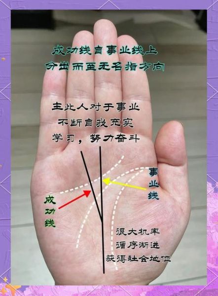 财运线连到生命线了_手相图解
