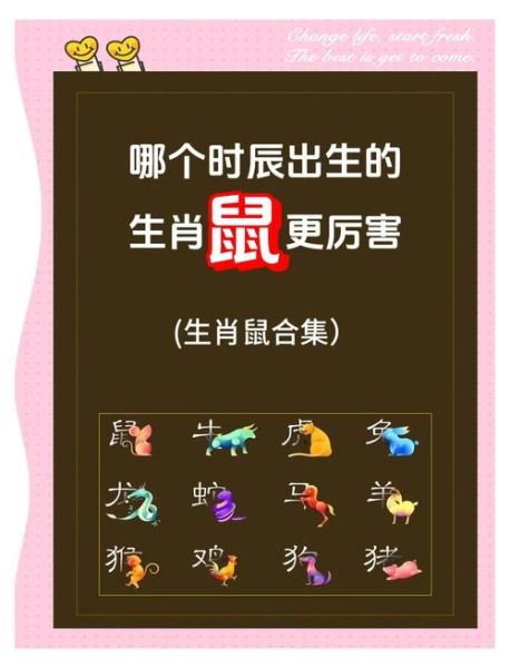 属鼠的人2017年运势如何_属鼠2017年财运怎么样