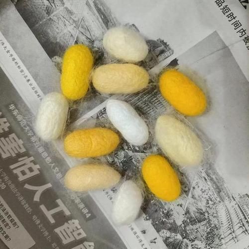 梦到蚕是什么意思_梦到蚕预示着什么