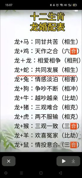 属龙三克属相是什么_如何化解龙狗相冲