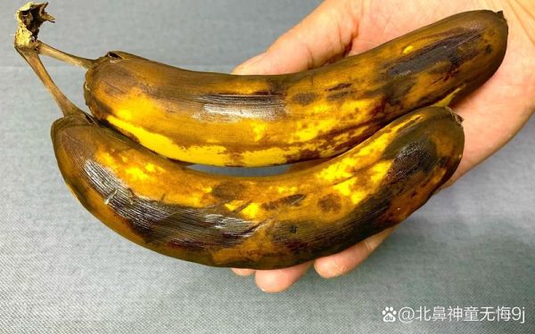 梦到烂香蕉是什么意思_梦到烂香蕉预示什么