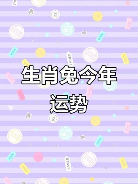 2019属兔运势如何_属兔2019年财运怎么样