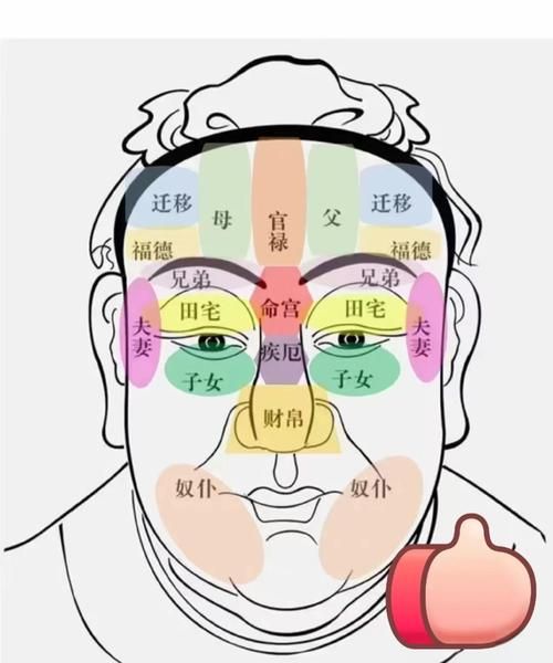 面相看财运准吗_面相学财运解析