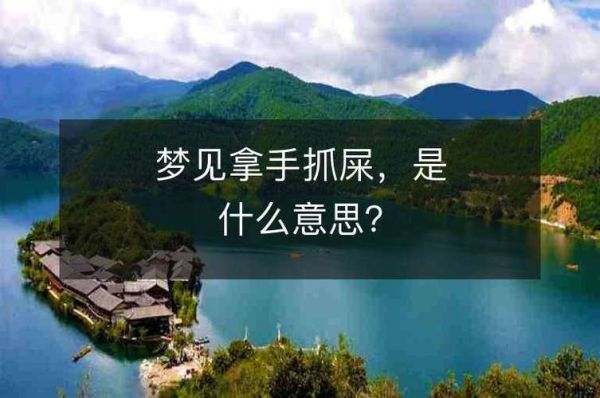 梦到拉了好多屎是什么意思_周公解梦与心理暗示