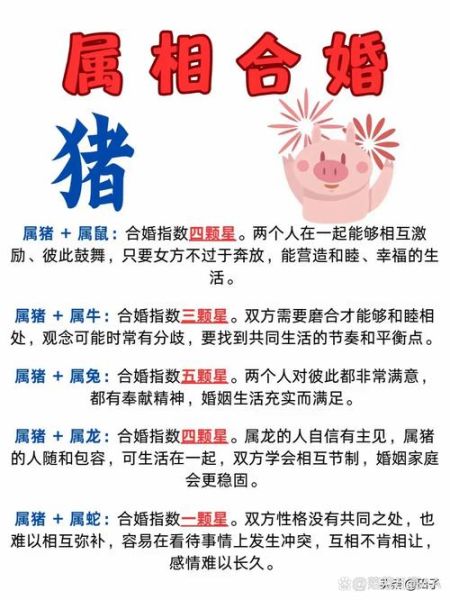 猪和猪属相相合吗_属猪与属猪婚配好不好