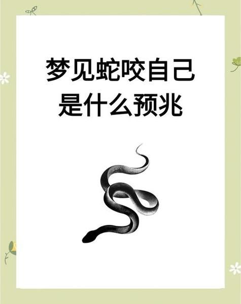 梦到蛇咬我胳膊_梦见蛇咬手臂预示什么
