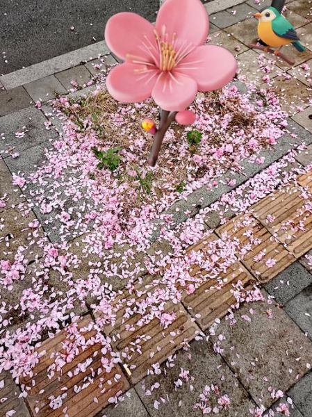 梦到撒花瓣是什么意思_梦见撒花瓣预示什么