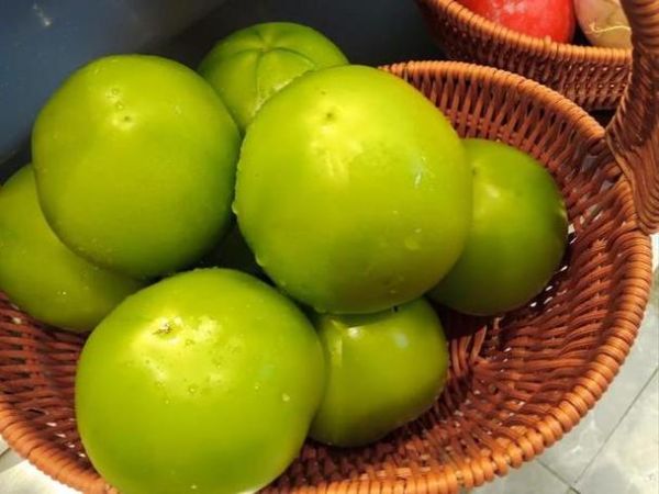 梦到青柿子什么意思_梦见青柿子好不好