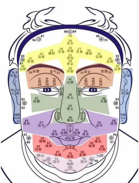 面部运势图怎么看_面部运势图准吗