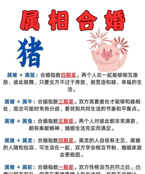 男生属猪配什么属相最好_属猪男最佳婚配属相