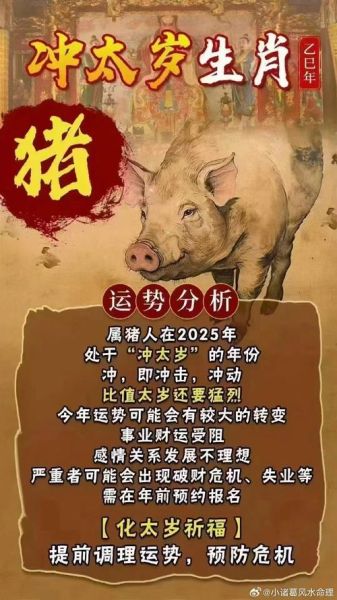 猪年财运如何_属猪人2025年财运走势