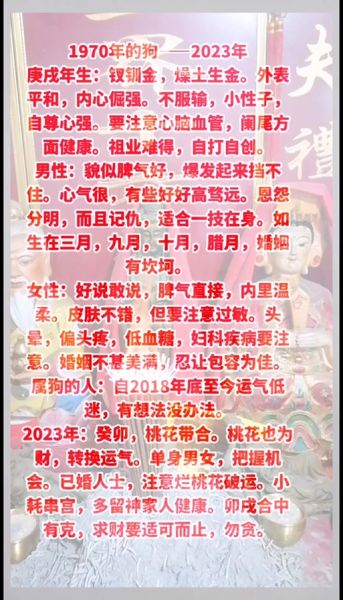 属狗今年财运如何_属狗人怎样提升偏财运