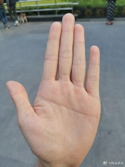 假断掌财运_假断掌手相会影响财富吗