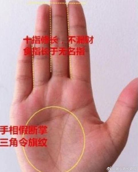 手掌没有财运线怎么办_真的注定贫穷吗