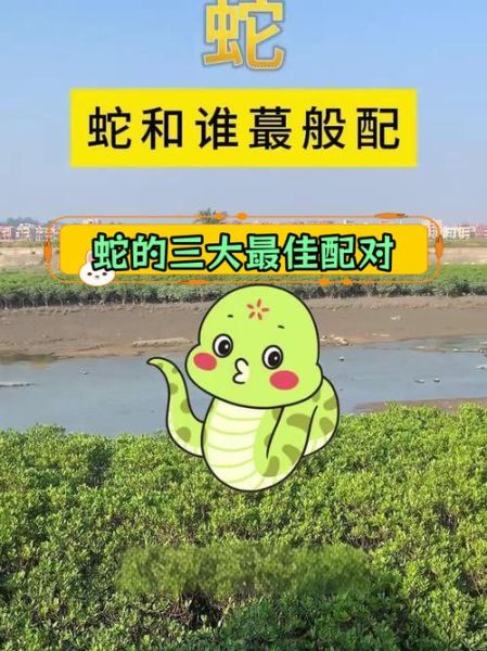 蛇与什么属相合财_属蛇人最佳财运搭档