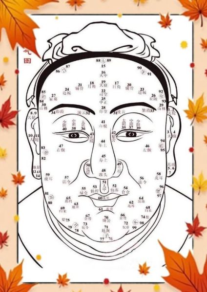 连心眉运势_连心眉的人命运如何