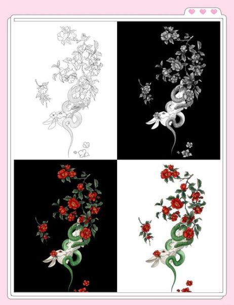 蛇和兔属相合不合_蛇兔婚姻如何化解相冲