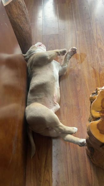 睡姿看财运_怎样睡才能招财