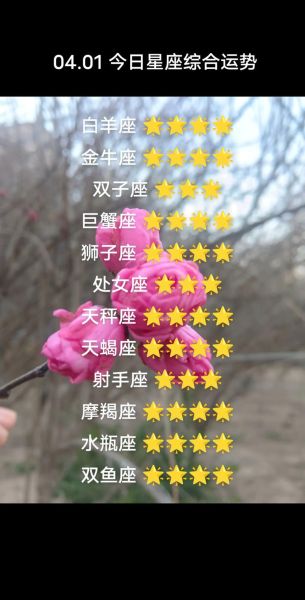 2018白羊座运势详解_白羊座2018年运势如何