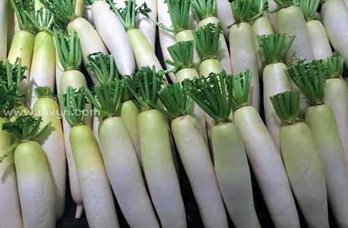 梦到吃白萝卜_周公解梦