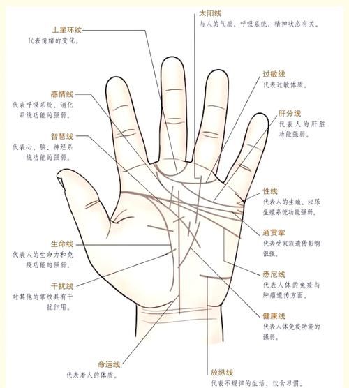 川字掌男人一生财运_川字掌男人会富贵吗